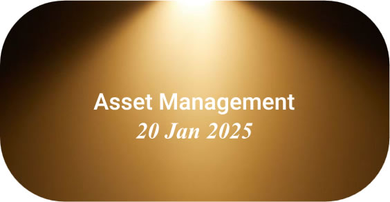 Asset Management - icon