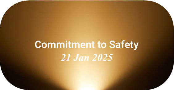 Commitment to Safety - icon