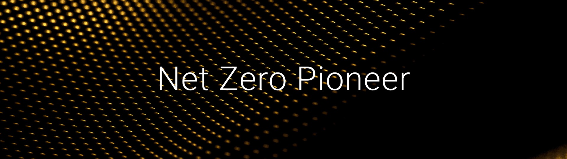 Net Zero Pioneer
