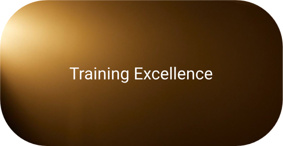 Training Excellence award-banner